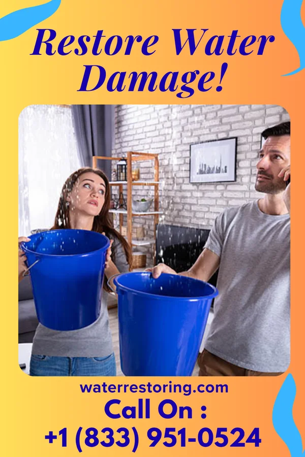 water restoration Patriot Water Removal Professionals Shively