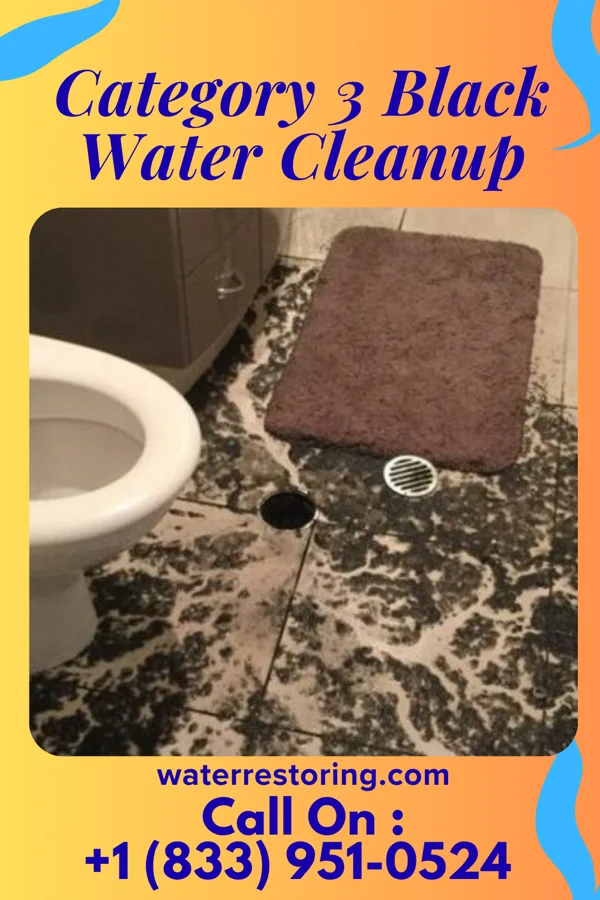 Category 3 Black Water Cleanup in Shively, KY