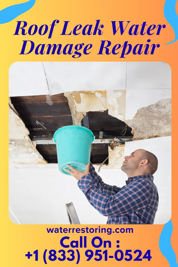 Roof Leak Water Damage Repair in Shively, KY